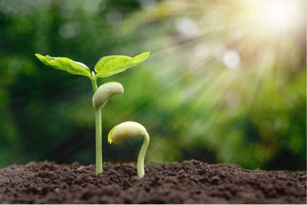 Meebewegen,Verstilling,Ritme,Aanpassen